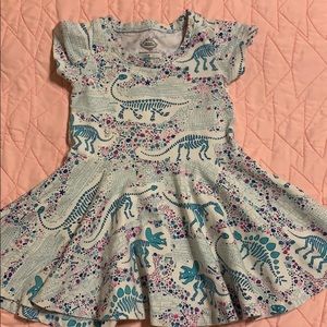Dinosaur Princess Awesome Dress
